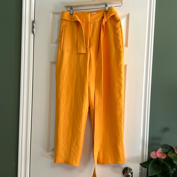 Yellow Aritzia Wilfred Tiefront Pants. Size 8. - Picture 1 of 4